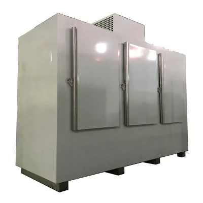 Custom Commercial Outdoor Large Ice Merchandiser 3 Solid Doors Wall Cold Direct Cooling Freezer From Factory Manufacturing