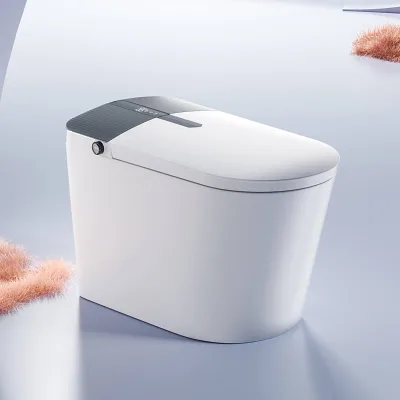 Modern Ceramic Smart Toilet with Dual-Flush Heated Seat Remote Control Automatic Female Wash Aromatherapy Floor-Mounted Design