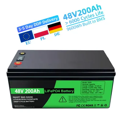 48V 200Ah Battery Pack with BMS Protection Prismatic Lifepo4 Cell for Electric Forklifts Wheelchairs Bicycles/Scooters