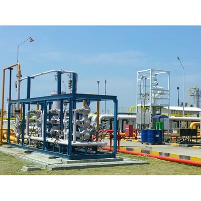 Easy Operation Biogas Plant Price 10-540000 Nm3/H Membrane CH4 Large Size Biogas Plant for Gas Pipeline Network