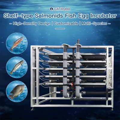 Industrial Multi-Tier Fish Fry Hatchery Complete Set Shrimp Farming Tanks with Oxygenation System for Commercial Nursery