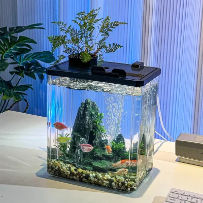Hot Seller Wholesale Modern Rectangular Acrylic Aquarium Eco-Friendly Durable Transparent Desktop Fish Tank Easy Clean Living