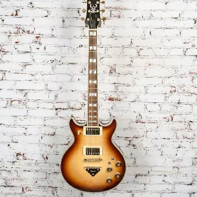 IBZ Jazz Electric Guitar AR420VL Fixed Bridge Tiger-Striped Maple Body Solid Mahogany Professional Music Travel Guitar