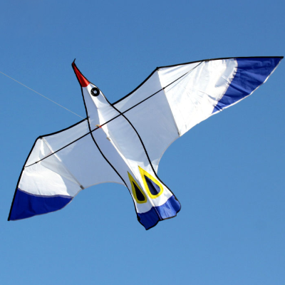 White Albatross Bird Kites