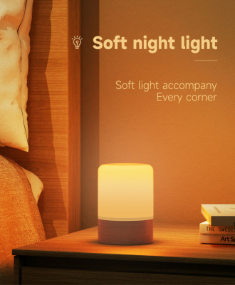 Remote Led Table Lamp Lighting Hardwired Night Lamp Lighting with Battery