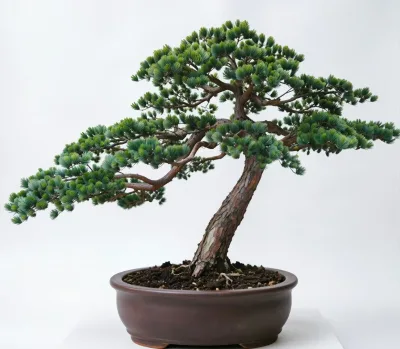 High Quality Artificial Pine Bonsai Tree Pot Faux Japanese Zen Garden Decor Green Plant Indoor Office Home Decoration Wholesale