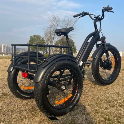High Quality Fat Tires Moped Electric Bicycle with Bafang Motor Three Wheels E Bike