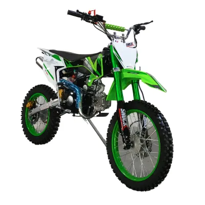 125CC Two-Wheeled Off-Road Mountain Cross Dirt Bike with Brushless Motor