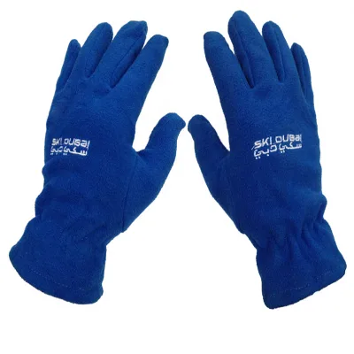 Cheap 100% Polyester Anti-Pilling Single Ply Women & Men Fleece Gloves with Custom Embroidery Logo-Winter Ski & Outdoor Use