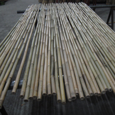 Bamboo  for Garden Planting 180CM 14-16MM