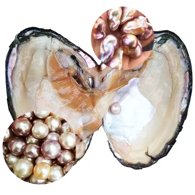 Canned Chinese Sealed Freshwater Little Monster Pearl Oysters with Natural Edison Loose Pearls for Blind Box Game for Family