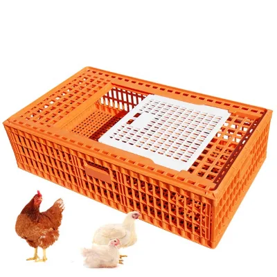 Retech High Quality Capacity Plastic Transport Bird Cages Live Chickens Transport Cages