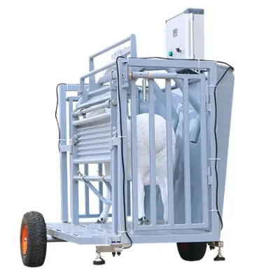 Durable Flipable Sheep Restraint Crate Stable Sheep Restraining Equipment for Sheep Farm Daily Management