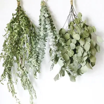 INS Hot Selling Dried Flowers Millet Fruit Leaf  100% Natural Apple Eucalyptus Leaves for Home Wedding Decor