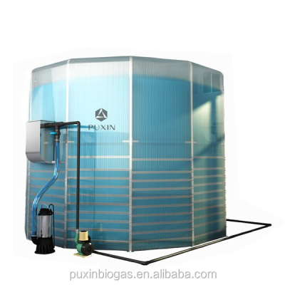 Biogas Plant to Generate Electricity for Animal Manure Treatment