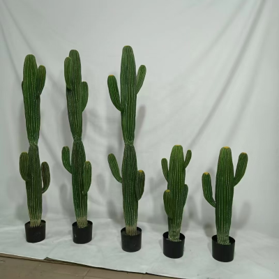 Customized Different Sizes Plastic Artificial Cactus Plant