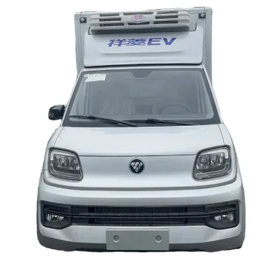 New Factory Supply Foton Xiangling Q Single 3.2m Row Convenient Pure Electric Ev Small Middle Cargo Van Refrigerated Truck Euro