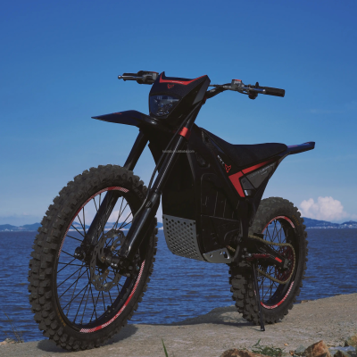 Snow Leopard 19" Arctic Leopard EX800 Bilateral 4 Piston Hydraulic Disc Racing Motocross 25KW 74V 75AH