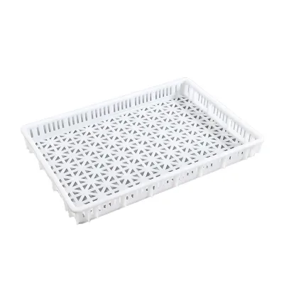 Broad Temperature Tolerance Perforated Stackable PP Fruit Plastic Drying Trays for Pineapple / Papaya / Banana / Durian