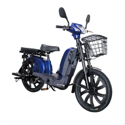48V 350W Electric Bike with LCD Display Steel Frame 60km Range Per Charge-2-Wheel Drive Electric Bicycle