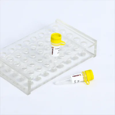 4X Lyoprotectant: Freeze-Drying Protectant for Enzymes & qPCR Mixes, Prevents Activity Loss, Extends Shelf Life