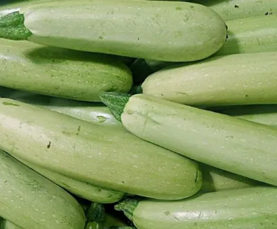China Zucchini Dry Storage 12-Month Shelf Life
