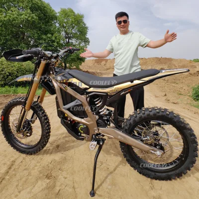 Ship today 2026 Ultra Be 24.5KW 74V 60AH Road Legal Electric Dirt Bike Ultra bee 21000 with Black and Brown