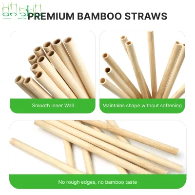 Handmade Reusable Bamboo Drinking Steaws for Cocktails Juice Smoothies Bars Restaurants Camping and Party Supplies