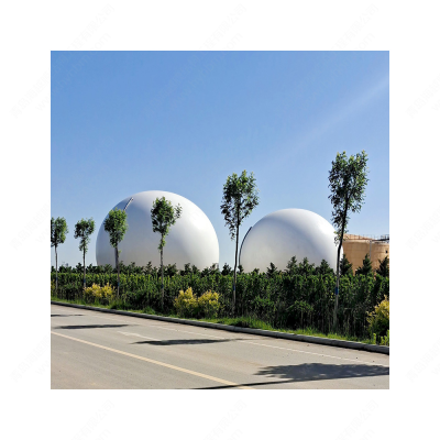 Biogas Project Equipment Store Biogas with Fermentation Storage and Utilization