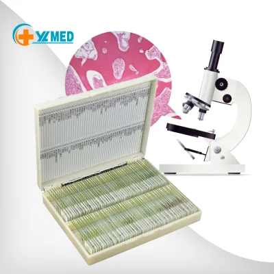 Wooden or Plastic Box Set of Common Zoology Botany Microscope Microbiology Prepared Slides for Medical Science Education