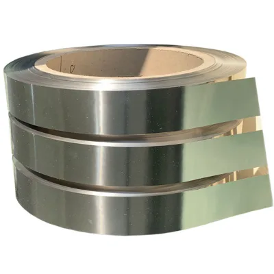 Cr20Ni25 Cr20Ni30 Cr15Ni55 Cr20Ni40 NiCr Flat Ribbon for Low Voltage Heating Mat 12V/24V Application DLX