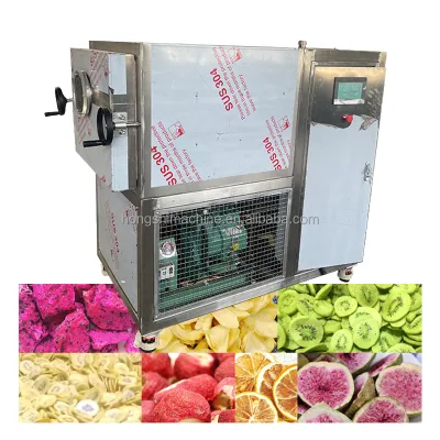 Industrial Lyophilizer Liofilizador Freeze Freezing Drying Dried Dry Dryer Machine Equipment Efficient Food Lyophilization