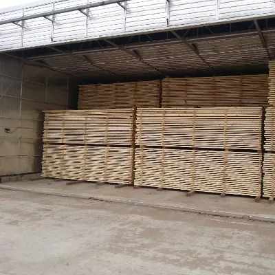 Wood Treatment Machine Wood Drying Kiln Large Capacity Wood Dryer Secador Madeira Thermal Modification Kiln
