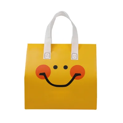 Multi-Color Reusable Non-Woven Shopping Bag Water Dust Proof Storage Adhesive Handle for Brand Advertising Supermarkets Screen