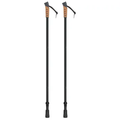 Adjustable Ski Pole Anti Shock Snow Skiing Stick Outdoor Winter Sports with Bag Durable Anti-slip