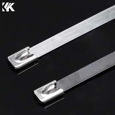 SS304 SS 316 304 Stainless Steel SS Metal Epoxy Coated Self Lock Cable Tie