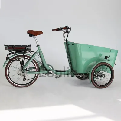 Factory Price 3 Wheel Front Cargo Bike Clamber Cargo Bike 3 Wheel Electric Reverse Trike for Sale