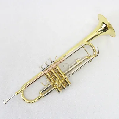 B-Flat Tone Trumpet Instrument for Beginners for Teaching Performance