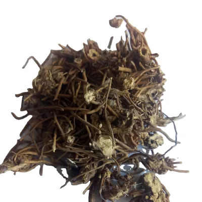 Bai Wei Wild Dried Black End Swallowwort Root Cynanchum Versicolor Radix Roots for Sale
