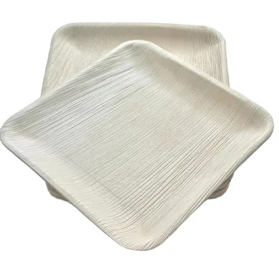 10 Inch Biodegradable Areca Palm Leaf Disposable Bamboo Plates Wholesale Custom