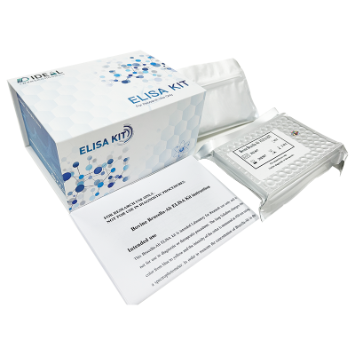 Human IA-2 Autoantibody ELISA Kit