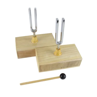 Experimental Teaching Instrument Physics Acoustics 440hz Resonance Tuning Fork
