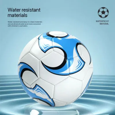 Wholesale Customized Personalized 2025 High Quality Soccer Ball Size 5/4/3 PVC Training Football