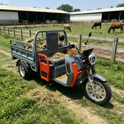 Solar Panel Equipped Electric Tricycle Long Endurance COC EEC Standard High Visibility 3 Wheel Adult Electric