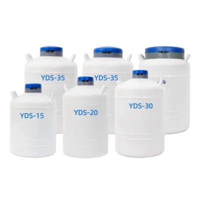 2L Yds Cylinder Container Price Dewar Supply Bulk Cryogenic Storage Liquid Nitrogen Tank