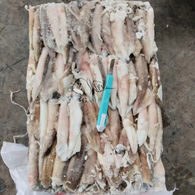 Hot Selling Nutritious Frozen Seafood Squid Loligo Origin Argentina Loligo M(10-13cm) Illex Squid