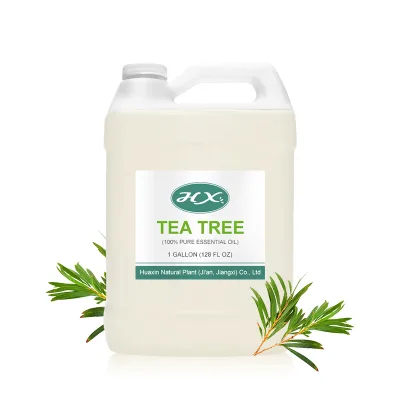 Odor Control with Tea Tree Oil: a Fresh Approach to Eliminating Unpleasant Smells