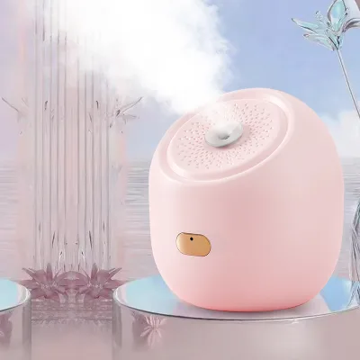 Small Size Electric SPA Facial Steamer for Home and Outdoor Use New Beauty Equipment for Skin Moisture Hot Face Spa