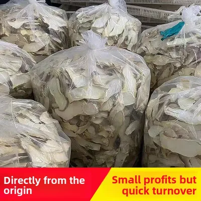 Fresh-from-the-farm Wholesale Premium Large White Slices king oyster Mushrooms Small-piece Local Specialties Fujian Dried