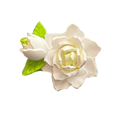 Foreign Trade Car Expansion Stone Aromatherapy Gardenia Refreshing Mosquito Repellent Odor Removal Air Vent Decoration Lasting